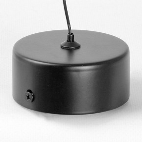 Подвесной светильник Lussole Blount LSP-7356 в Нижнем Тагиле - nizhniy-tagil.ok-mebel.com | фото 6