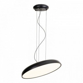 Подвесной светильник Lussole Crook LSP-7360 в Нижнем Тагиле - nizhniy-tagil.ok-mebel.com | фото 2