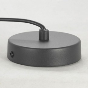 Подвесной светильник Lussole LSP-849 LSP-8490 в Нижнем Тагиле - nizhniy-tagil.ok-mebel.com | фото 6