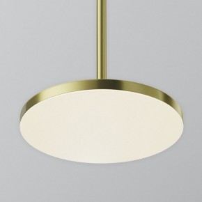 Подвесной светильник Maytoni Plato P076PL-L12W4K-BS в Нижнем Тагиле - nizhniy-tagil.ok-mebel.com | фото 7