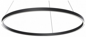 Подвесной светильник Maytoni Rim MOD058PL-L54BK в Нижнем Тагиле - nizhniy-tagil.ok-mebel.com | фото