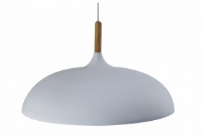 Подвесной светильник Moderli Hygo V11447-1P в Нижнем Тагиле - nizhniy-tagil.ok-mebel.com | фото