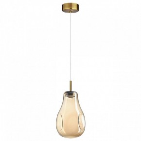 Подвесной светильник Odeon Light Nave 5098/4L в Нижнем Тагиле - nizhniy-tagil.ok-mebel.com | фото 4
