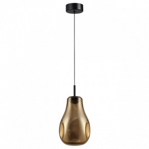 Подвесной светильник Odeon Light Nave 5098/4LA в Нижнем Тагиле - nizhniy-tagil.ok-mebel.com | фото 4