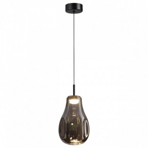 Подвесной светильник Odeon Light Nave 5098/4LC в Нижнем Тагиле - nizhniy-tagil.ok-mebel.com | фото 2