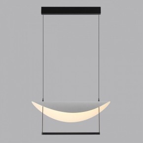 Подвесной светильник Odeon Light Next 7015/20L в Нижнем Тагиле - nizhniy-tagil.ok-mebel.com | фото 4