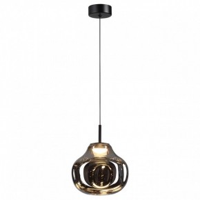 Подвесной светильник Odeon Light Vaso 5097/4LC в Нижнем Тагиле - nizhniy-tagil.ok-mebel.com | фото 2