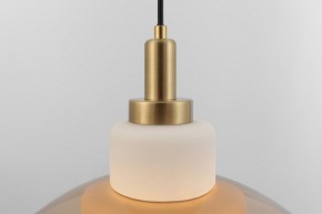Подвесной светильник Rivoli Camille Б0061901 в Нижнем Тагиле - nizhniy-tagil.ok-mebel.com | фото 12