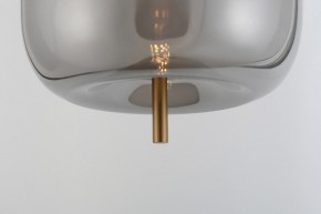 Подвесной светильник Rivoli Claire Б0061905 в Нижнем Тагиле - nizhniy-tagil.ok-mebel.com | фото 11