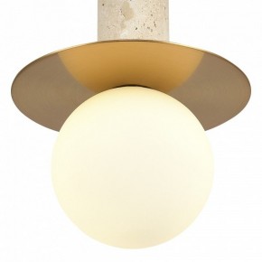 Подвесной светильник ST-Luce Earthy SL1194.303.01 в Нижнем Тагиле - nizhniy-tagil.ok-mebel.com | фото 5