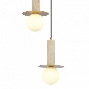 Подвесной светильник ST-Luce Earthy SL1194.303.03 в Нижнем Тагиле - nizhniy-tagil.ok-mebel.com | фото 4