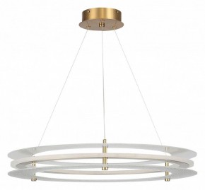Подвесной светильник ST-Luce FAGY SL6245.203.01 в Нижнем Тагиле - nizhniy-tagil.ok-mebel.com | фото 3