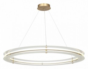 Подвесной светильник ST-Luce FAGY SL6245.213.01 в Нижнем Тагиле - nizhniy-tagil.ok-mebel.com | фото 4
