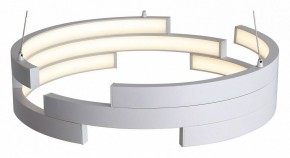 Подвесной светильник ST-Luce Genuine SL963.503.01 в Нижнем Тагиле - nizhniy-tagil.ok-mebel.com | фото