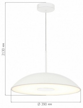 Подвесной светильник ST-Luce Lido SL6128.503.01 в Нижнем Тагиле - nizhniy-tagil.ok-mebel.com | фото 4