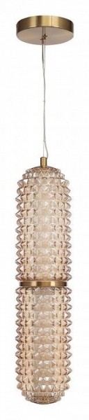 Подвесной светильник ST-Luce SAGUARO SL6144.303.01 в Нижнем Тагиле - nizhniy-tagil.ok-mebel.com | фото 3