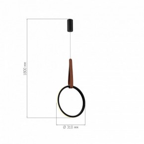 Подвесной светильник ST-Luce Shape SL6131.403.12 в Нижнем Тагиле - nizhniy-tagil.ok-mebel.com | фото 4