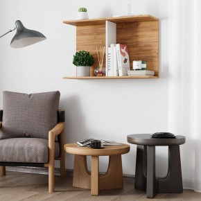 Полка Ион-3 (крафт/белый) в Нижнем Тагиле - nizhniy-tagil.ok-mebel.com | фото 3