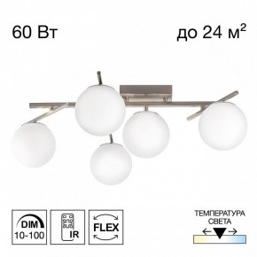Потолочная люстра Citilux Dorsy CL223151 в Нижнем Тагиле - nizhniy-tagil.ok-mebel.com | фото 2