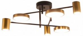 Потолочная люстра Kink Light Рапис 07645-6D,19(20) в Нижнем Тагиле - nizhniy-tagil.ok-mebel.com | фото