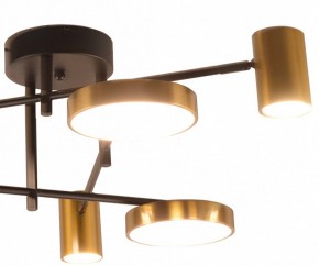 Потолочная люстра Kink Light Рапис 07645-6D,19(20) в Нижнем Тагиле - nizhniy-tagil.ok-mebel.com | фото 2