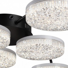 Потолочная люстра Lumion Didana 8236/6CL в Нижнем Тагиле - nizhniy-tagil.ok-mebel.com | фото 9