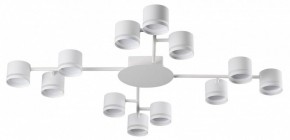 Потолочная люстра Lumion Gareta 8235/12C в Нижнем Тагиле - nizhniy-tagil.ok-mebel.com | фото