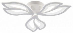 Потолочная люстра Natali Kovaltseva FORTUNA LED LAMPS 81107/2C в Нижнем Тагиле - nizhniy-tagil.ok-mebel.com | фото