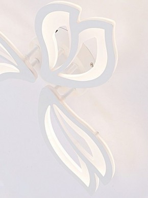 Потолочная люстра Natali Kovaltseva FORTUNA LED LAMPS 81107/2C в Нижнем Тагиле - nizhniy-tagil.ok-mebel.com | фото 11