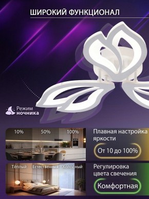 Потолочная люстра Natali Kovaltseva FORTUNA LED LAMPS 81107/2C в Нижнем Тагиле - nizhniy-tagil.ok-mebel.com | фото 5