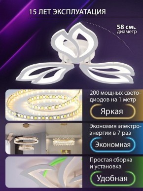 Потолочная люстра Natali Kovaltseva FORTUNA LED LAMPS 81107/2C в Нижнем Тагиле - nizhniy-tagil.ok-mebel.com | фото 6