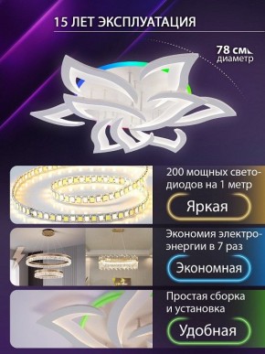 Потолочная люстра Natali Kovaltseva OLIMP LED LAMPS 81435 в Нижнем Тагиле - nizhniy-tagil.ok-mebel.com | фото 5