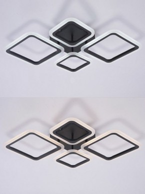 Потолочная люстра Natali Kovaltseva OPTI LED LAMPS 81108/2C в Нижнем Тагиле - nizhniy-tagil.ok-mebel.com | фото 4