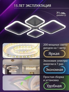 Потолочная люстра Natali Kovaltseva OPTI LED LAMPS 81108/2C в Нижнем Тагиле - nizhniy-tagil.ok-mebel.com | фото 5