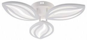 Потолочная люстра Natali Kovaltseva SM LED LAMPS 81456 в Нижнем Тагиле - nizhniy-tagil.ok-mebel.com | фото