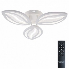 Потолочная люстра Natali Kovaltseva SM LED LAMPS 81456 в Нижнем Тагиле - nizhniy-tagil.ok-mebel.com | фото 2
