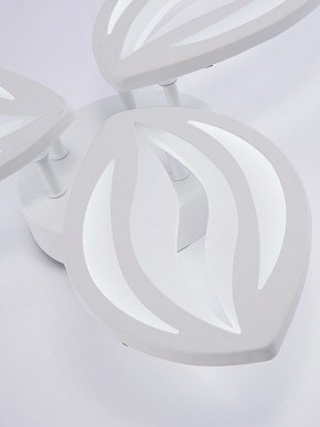 Потолочная люстра Natali Kovaltseva SM LED LAMPS 81456 в Нижнем Тагиле - nizhniy-tagil.ok-mebel.com | фото 8