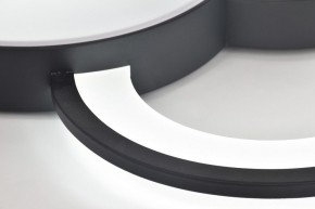 Потолочная люстра Rivoli Aliona Б0066452 в Нижнем Тагиле - nizhniy-tagil.ok-mebel.com | фото 10