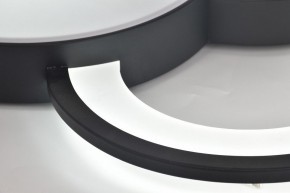 Потолочная люстра Rivoli Aliona Б0066452 в Нижнем Тагиле - nizhniy-tagil.ok-mebel.com | фото 12