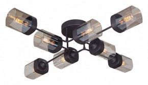 Потолочная люстра Vitaluce 4889 V4889-1/8PL в Нижнем Тагиле - nizhniy-tagil.ok-mebel.com | фото
