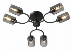 Потолочная люстра Vitaluce V2823 V2823-1/6PL в Нижнем Тагиле - nizhniy-tagil.ok-mebel.com | фото 2