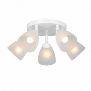 Потолочная люстра Vitaluce V4355 V4355-0/5PL в Нижнем Тагиле - nizhniy-tagil.ok-mebel.com | фото 2