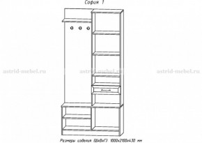 Прихожая София 1 в Нижнем Тагиле - nizhniy-tagil.ok-mebel.com | фото 2