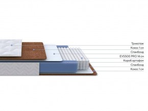 PROxSON Матрас Active F Roll (Ткань Трикотаж Эко) 120x200 в Нижнем Тагиле - nizhniy-tagil.ok-mebel.com | фото 2