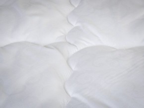 PROxSON Одеяло классическое PROSON (Стеганное полотно) 140x200 в Нижнем Тагиле - nizhniy-tagil.ok-mebel.com | фото 4