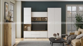 МИЛАН-1 Секция ТВ (ЦРК.МЛН.01 секция ТВ) в Нижнем Тагиле - nizhniy-tagil.ok-mebel.com | фото 3