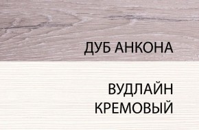 Шкаф 1DW, OLIVIA, цвет вудлайн крем/дуб анкона в Нижнем Тагиле - nizhniy-tagil.ok-mebel.com | фото 3