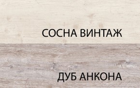Шкаф 2D1S, MONAKO, цвет Сосна винтаж/дуб анкона в Нижнем Тагиле - nizhniy-tagil.ok-mebel.com | фото 1