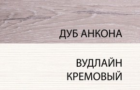 Шкаф 2DG, OLIVIA, цвет вудлайн крем/дуб анкона в Нижнем Тагиле - nizhniy-tagil.ok-mebel.com | фото 3