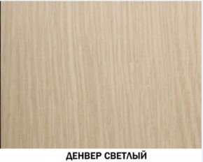 Шкаф для одежды №609 "Инна" Денвер светлый (*без полок) в Нижнем Тагиле - nizhniy-tagil.ok-mebel.com | фото 4